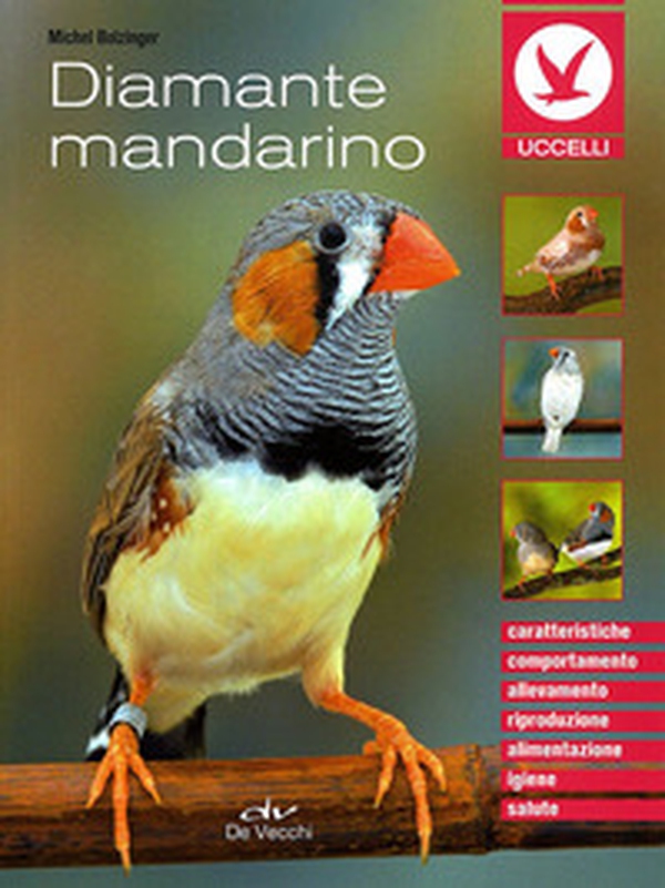 Diamante mandarino - Librerie.coop Diamante mandarino - Librerie.coop