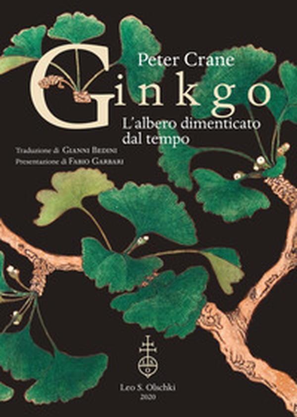 Ginkgo. L'albero dimenticato dal tempo - Librerie.coop Ginkgo. L'albero dimenticato dal tempo - Librerie.coop