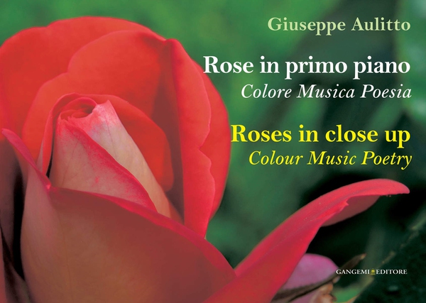Rose in primo piano - Roses in close up - Librerie.coop Rose in primo piano - Roses in close up - Librerie.coop