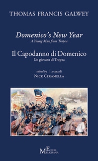 Domenico's new year. A young man from Tropea-Il Capodanno di Domenico. Un giovane di Tropea - Librerie.coop