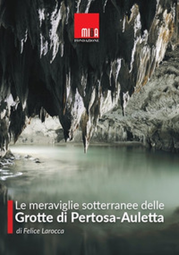 Le meraviglie sotterranee delle Grotte di Pertosa-Auletta - Librerie.coop Le meraviglie sotterranee delle Grotte di Pertosa-Auletta - Librerie.coop