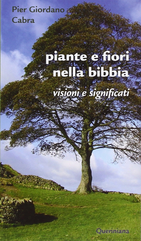 Piante e fiori nella Bibbia - Librerie.coop Piante e fiori nella Bibbia - Librerie.coop