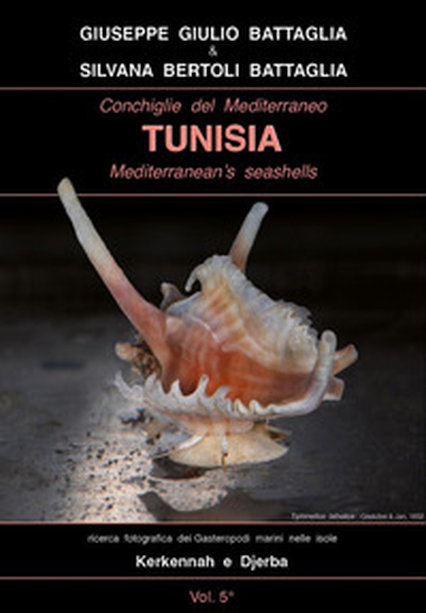 Conchiglie del Mediterraneo-Tunisia-Mediterranean's seashells. Ediz. italiana e inglese - Librerie.coop Conchiglie del Mediterraneo-Tunisia-Mediterranean's seashells. Ediz. italiana e inglese - Librerie.coop