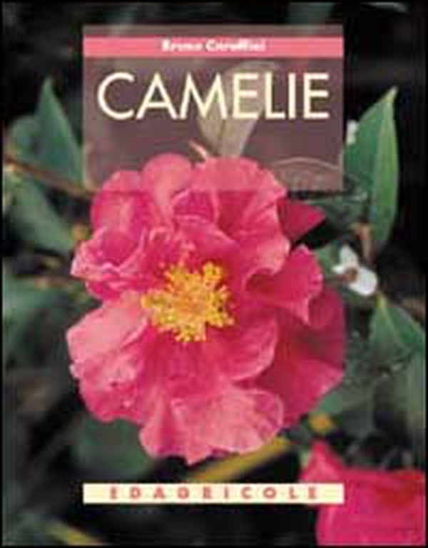 Camelie - Librerie.coop Camelie - Librerie.coop