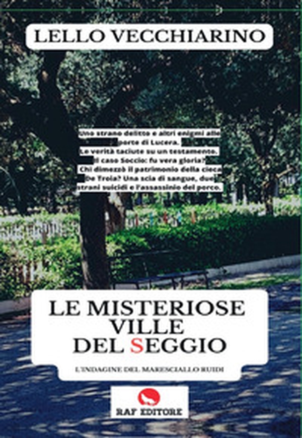 Le misteriose ville del Seggio - Librerie.coop Le misteriose ville del Seggio - Librerie.coop