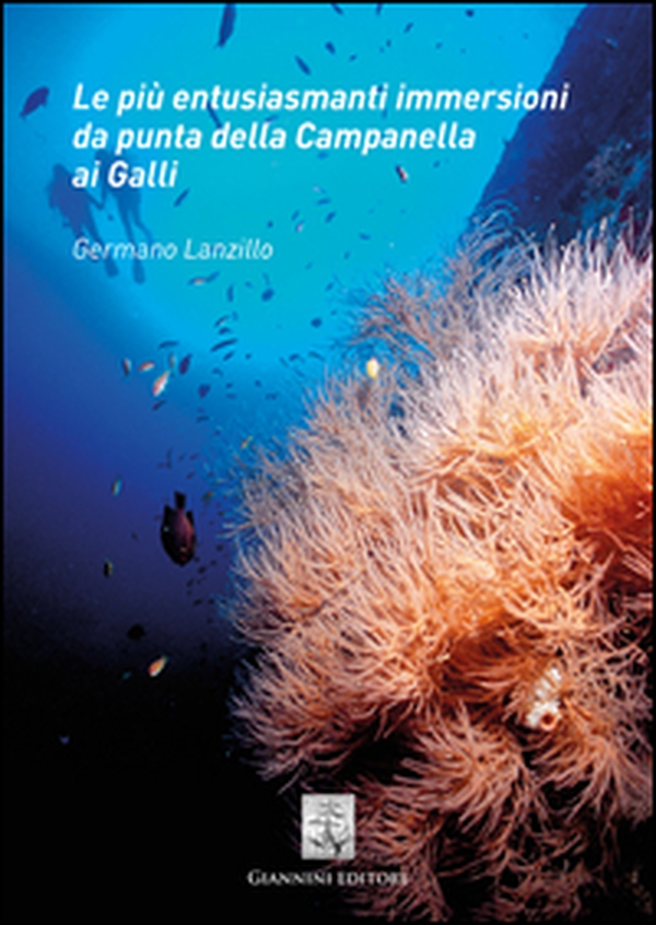 Le più entusiasmanti immersioni da punta della Campanella ai Galli - Librerie.coop Le più entusiasmanti immersioni da punta della Campanella ai Galli - Librerie.coop