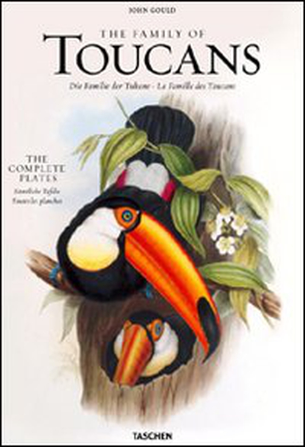 John Gould, family of toucans. Ediz. italiana, spagnola e portoghese - Librerie.coop John Gould, family of toucans. Ediz. italiana, spagnola e portoghese - Librerie.coop