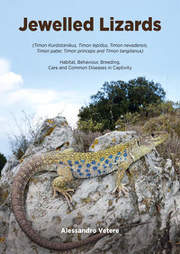 Jewelled lizards. Habitat, behaviour, breeding, care and common diseases in captivity - Librerie.coop Jewelled lizards. Habitat, behaviour, breeding, care and common diseases in captivity - Librerie.coop