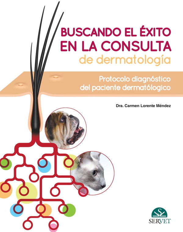 Buscando el éxito en la consulta de dermatología: Protocolo diagnóstico del paciente dermatólogico - Librerie.coop Buscando el éxito en la consulta de dermatología: Protocolo diagnóstico del paciente dermatólogico - Librerie.coop