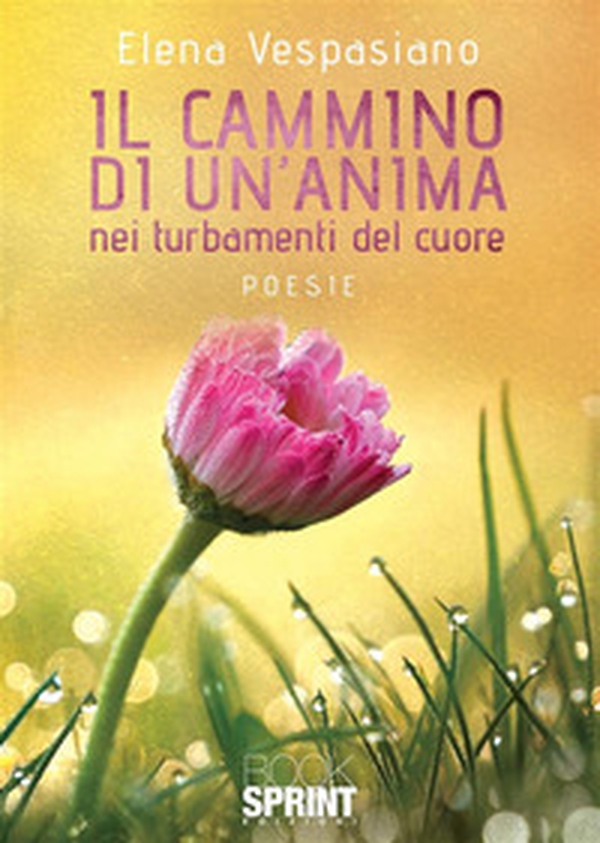 Il cammino di un'anima nei turbamenti - Librerie.coop Il cammino di un'anima nei turbamenti - Librerie.coop