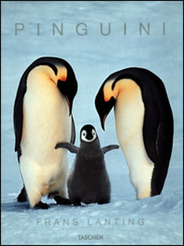 I pinguini - Librerie.coop I pinguini - Librerie.coop