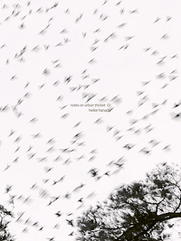 Notes on urban thicket 01. Heike Hanada - Librerie.coop Notes on urban thicket 01. Heike Hanada - Librerie.coop