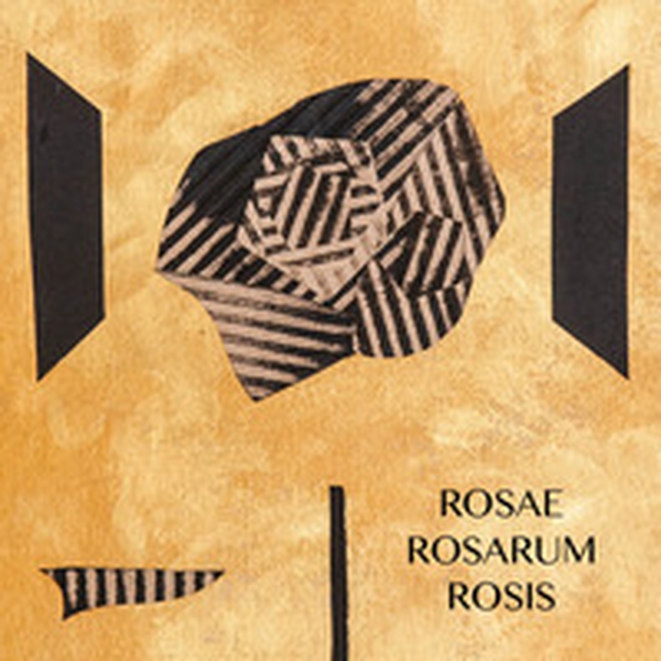 Anna Pennati. Rosae, Rosarum, Rosis - Librerie.coop Anna Pennati. Rosae, Rosarum, Rosis - Librerie.coop