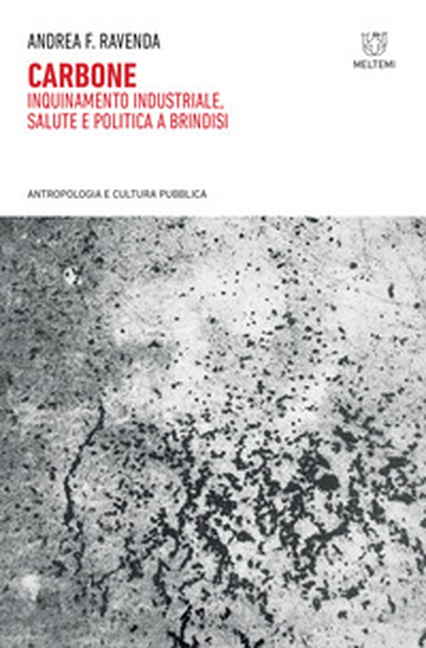 Carbone. Inquinamento industriale, salute e politica a Brindisi - Librerie.coop Carbone. Inquinamento industriale, salute e politica a Brindisi - Librerie.coop