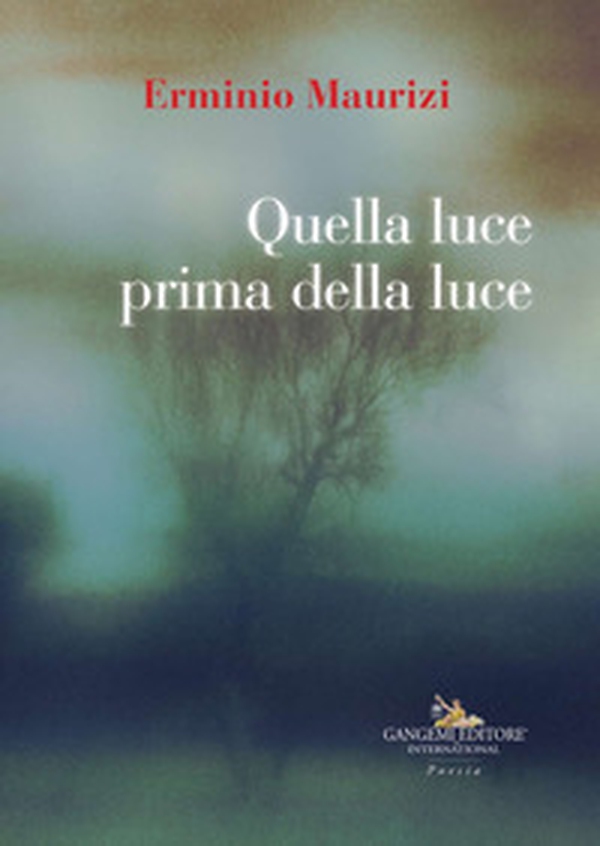 Quella luce prima della luce - Librerie.coop Quella luce prima della luce - Librerie.coop