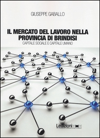 Il mercato del lavoro nella provincia di Brindisi. Capitale sociale e capitale umano - Librerie.coop