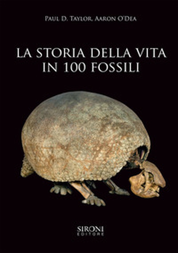 La storia della vita in 100 fossili - Librerie.coop La storia della vita in 100 fossili - Librerie.coop