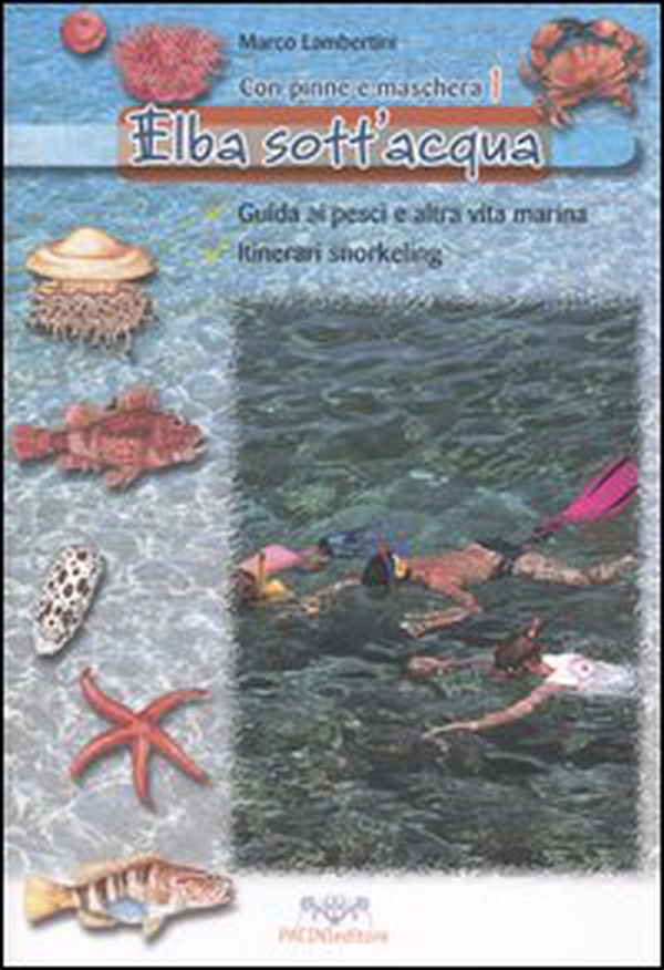 Elba sott'acqua. Guida ai pesci e altra vita marina. Itinerari snorkeling. Con pinne e maschera - Librerie.coop Elba sott'acqua. Guida ai pesci e altra vita marina. Itinerari snorkeling. Con pinne e maschera - Librerie.coop