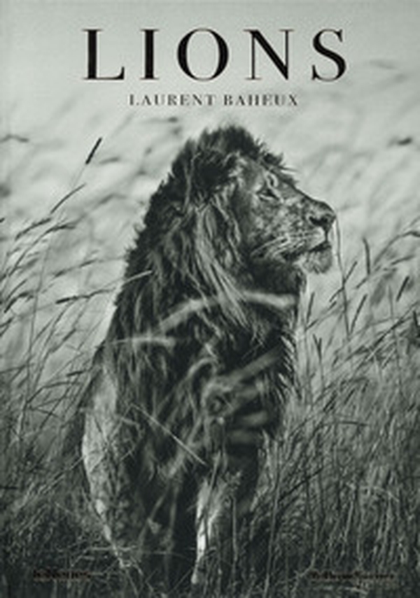 Lions. Ediz. francese, inglese e tedesca - Librerie.coop Lions. Ediz. francese, inglese e tedesca - Librerie.coop
