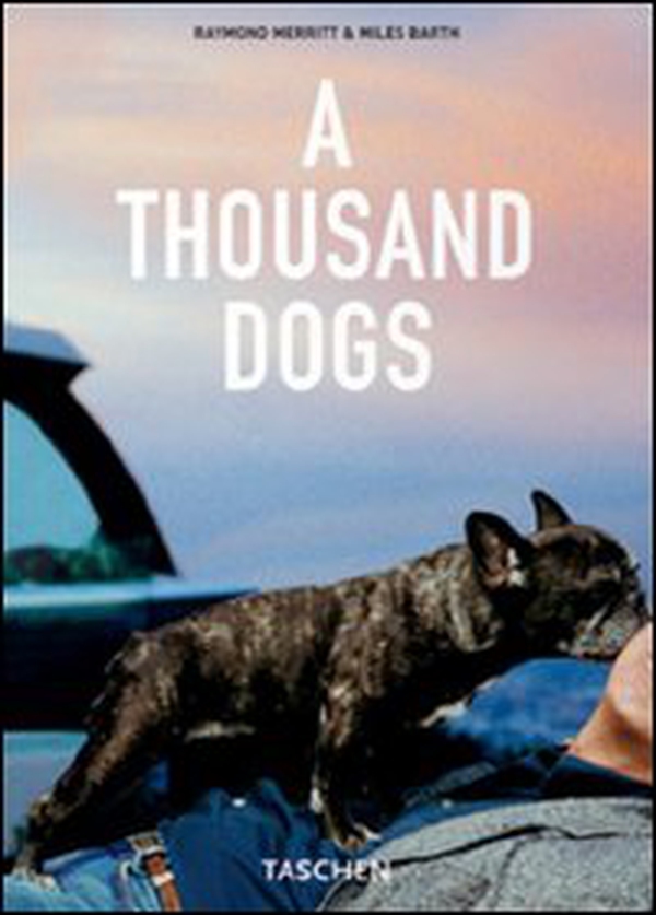 A Thousand Dogs - Librerie.coop A Thousand Dogs - Librerie.coop