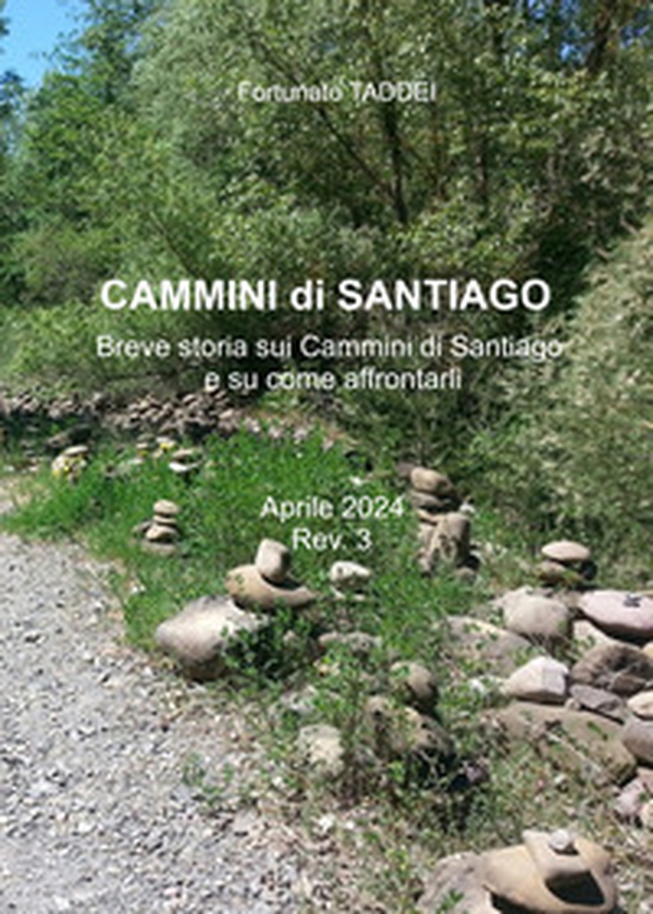 Cammini di Santiago. Breve storia sui cammini di Santiago e su come affrontarli - Librerie.coop Cammini di Santiago. Breve storia sui cammini di Santiago e su come affrontarli - Librerie.coop