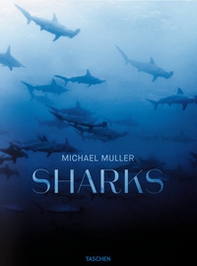 Michael Muller. Sharks. Ediz. inglese - Librerie.coop