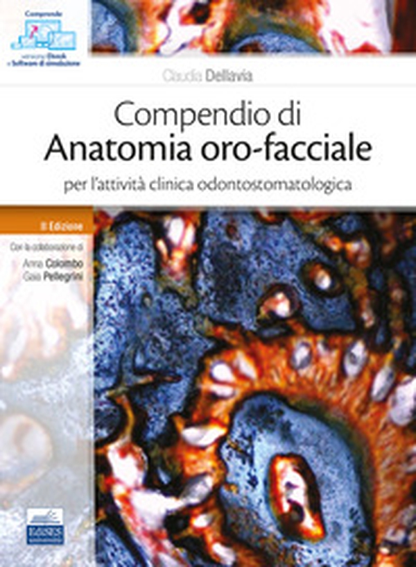 Compendio di anatomia oro-facciale per l'attività clinica odontostomatologica - Librerie.coop Compendio di anatomia oro-facciale per l'attività clinica odontostomatologica - Librerie.coop