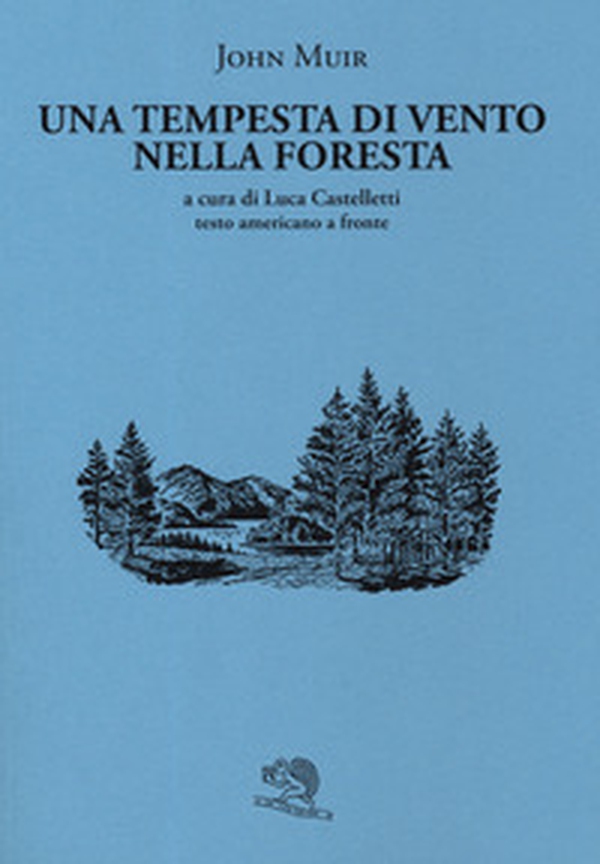Una tempesta di vento nella foresta. Testo americano a fronte - Librerie.coop Una tempesta di vento nella foresta. Testo americano a fronte - Librerie.coop