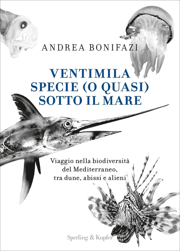Ventimila specie (o quasi) sotto il mare - Librerie.coop Ventimila specie (o quasi) sotto il mare - Librerie.coop