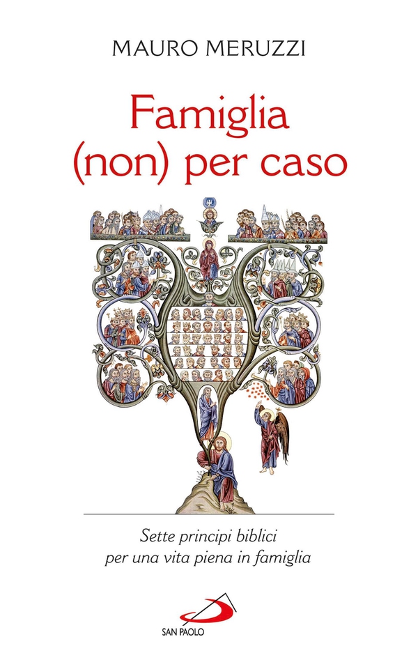 Famiglia (non) per caso. Sette principi biblici per una vita piena in famiglia - Librerie.coop Famiglia (non) per caso. Sette principi biblici per una vita piena in famiglia - Librerie.coop