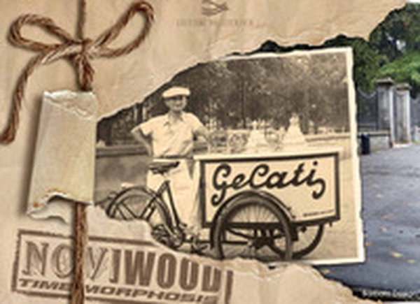 Noviwood time morphosis. Un viaggio nel tempo - Librerie.coop Noviwood time morphosis. Un viaggio nel tempo - Librerie.coop