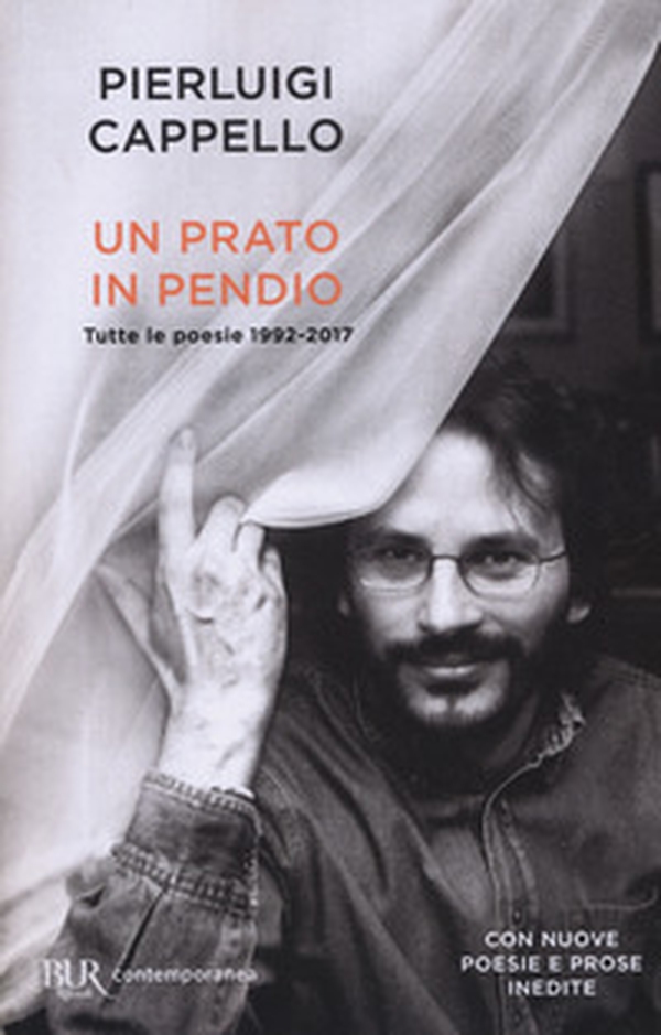 Un prato in pendio. Tutte le poesie 1992-2017 - Librerie.coop Un prato in pendio. Tutte le poesie 1992-2017 - Librerie.coop