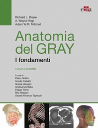 Anatomia del Gray. I fondamenti - Librerie.coop