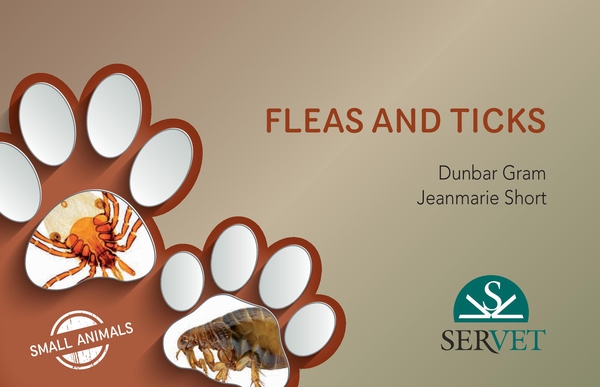 Fleas and ticks in small animals - Librerie.coop Fleas and ticks in small animals - Librerie.coop
