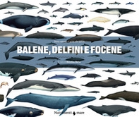 Balene, delfini e focene. Storia naturale e guida alle specie - Librerie.coop