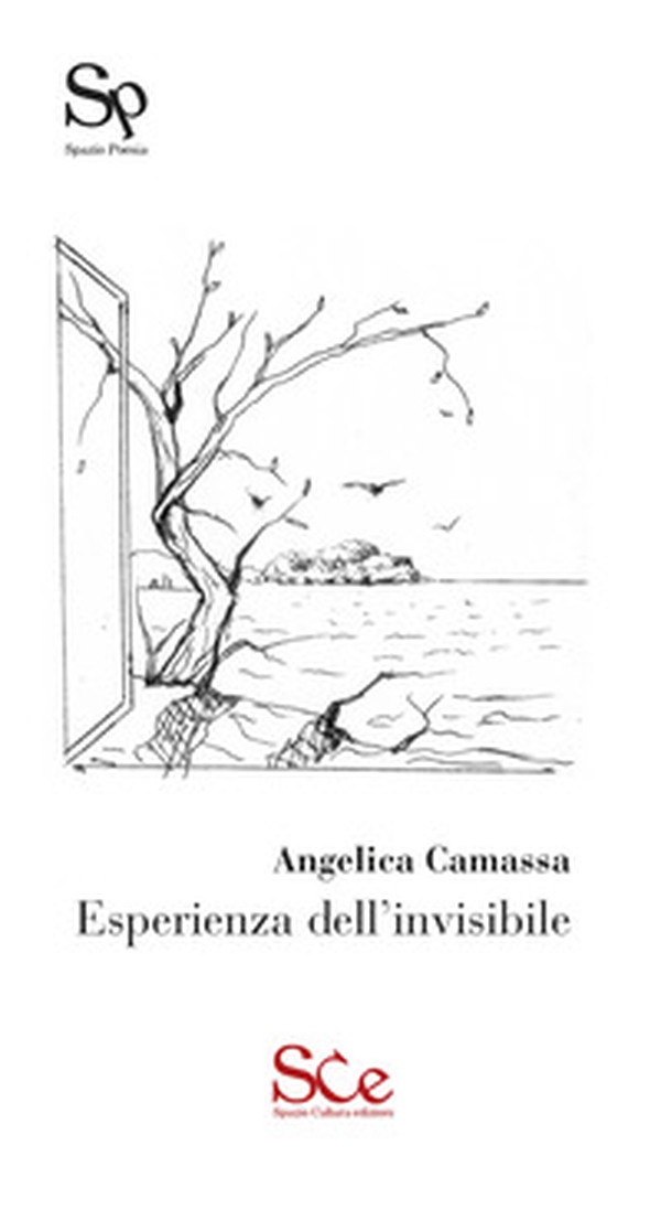 Esperienza dell'invisibile - Librerie.coop Esperienza dell'invisibile - Librerie.coop