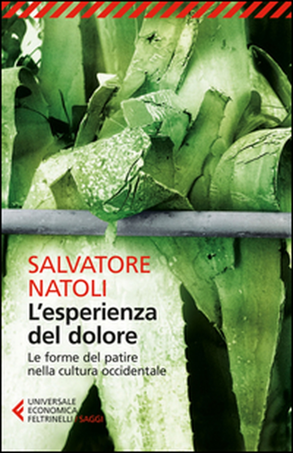 L'esperienza del dolore. Le forme del patire nella cultura occidentale - Librerie.coop L'esperienza del dolore. Le forme del patire nella cultura occidentale - Librerie.coop