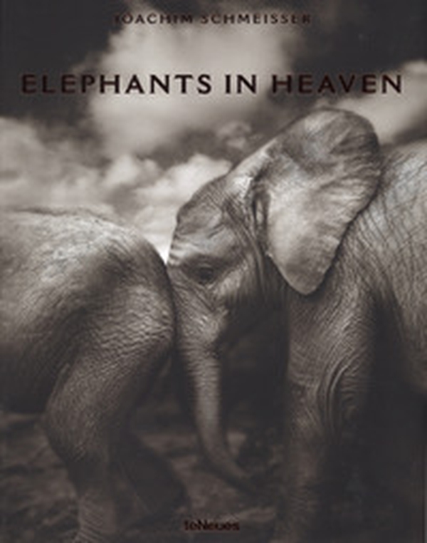 Elephants in heaven. Ediz. inglese, francese e tedesca - Librerie.coop Elephants in heaven. Ediz. inglese, francese e tedesca - Librerie.coop