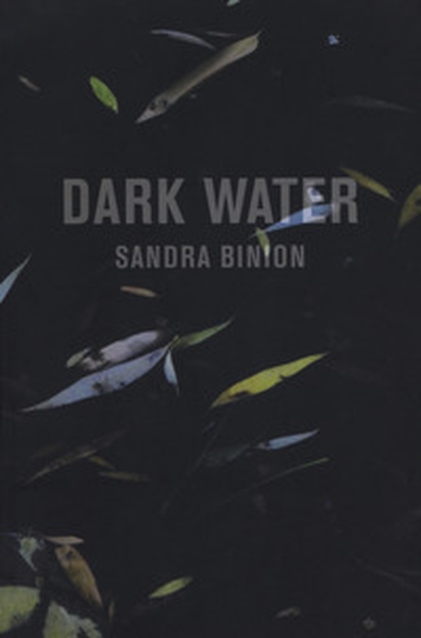 Dark water. Catalogo della mostra (Pisa, 18 marzo-20 maggio 2017). Ediz. italiana e inglese - Librerie.coop Dark water. Catalogo della mostra (Pisa, 18 marzo-20 maggio 2017). Ediz. italiana e inglese - Librerie.coop
