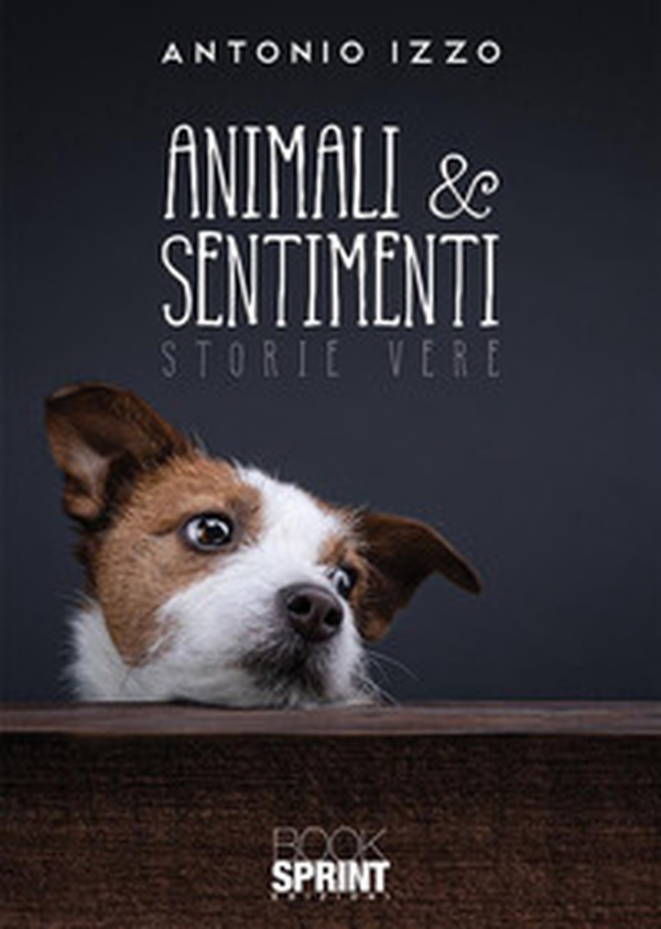 Animali & sentimenti - Librerie.coop Animali & sentimenti - Librerie.coop