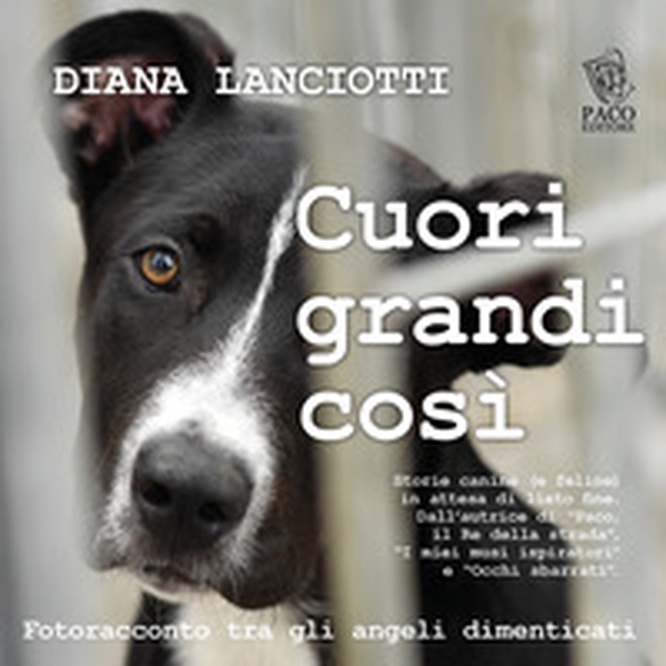 Cuori grandi così. Fotoracconto tra gli angeli dimenticati - Librerie.coop Cuori grandi così. Fotoracconto tra gli angeli dimenticati - Librerie.coop