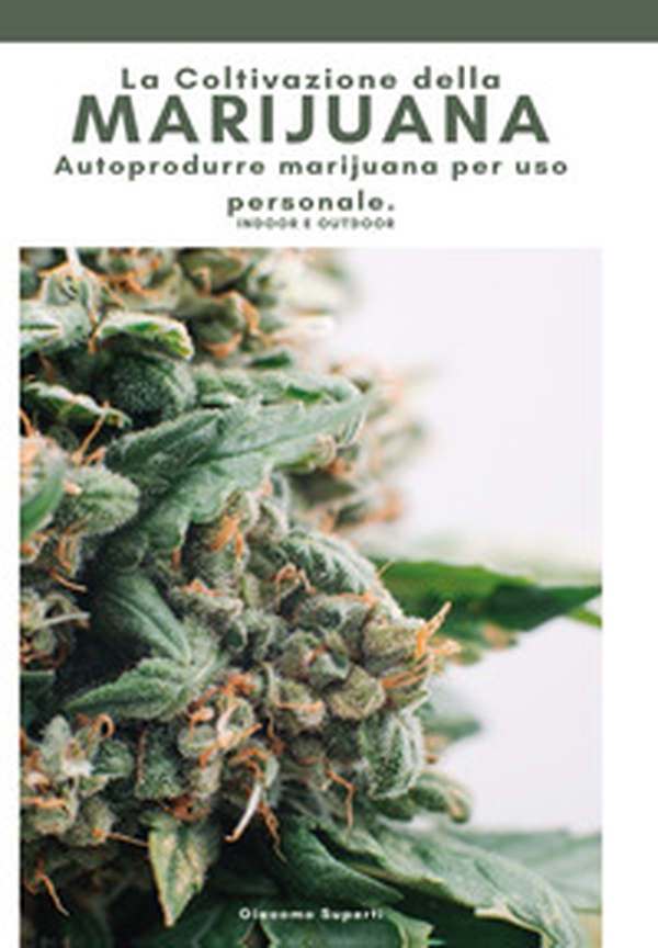 La coltivazione della marijuana. Autoprodurre marijuana per uso personale - Librerie.coop La coltivazione della marijuana. Autoprodurre marijuana per uso personale - Librerie.coop