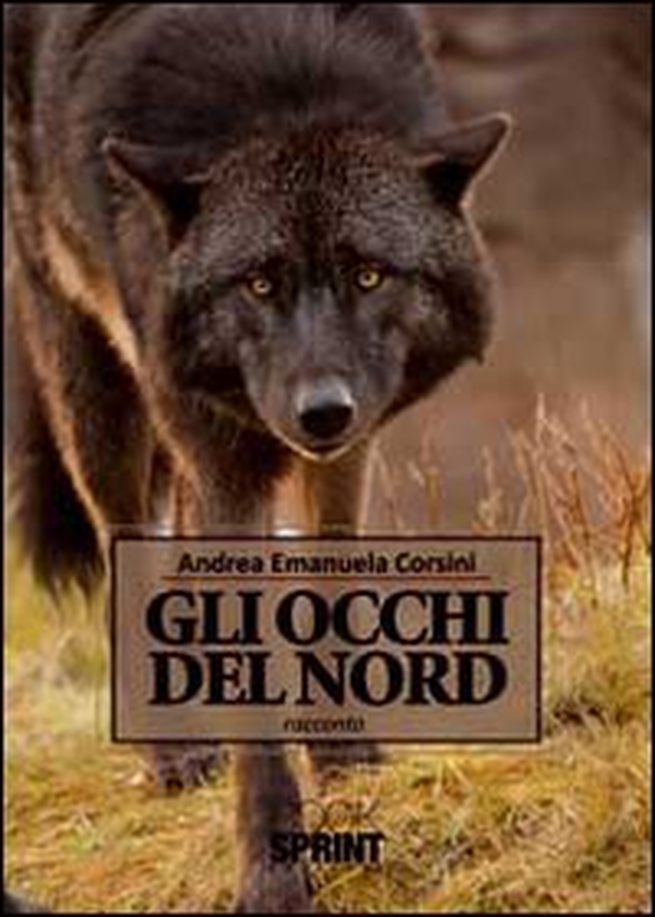 Gli occhi del nord - Librerie.coop Gli occhi del nord - Librerie.coop