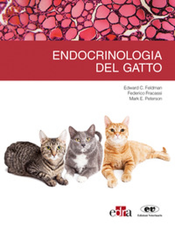 Endrocrinologia del gatto - Librerie.coop Endrocrinologia del gatto - Librerie.coop