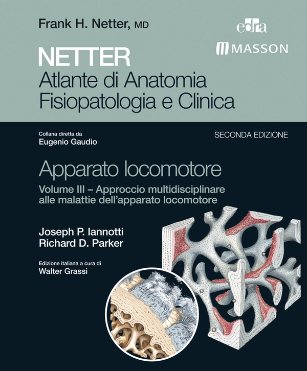 NETTER Atlante di Anatomia Fisiopatologica e Clinica - Apparato Locomotore III - Librerie.coop NETTER Atlante di Anatomia Fisiopatologica e Clinica - Apparato Locomotore III - Librerie.coop