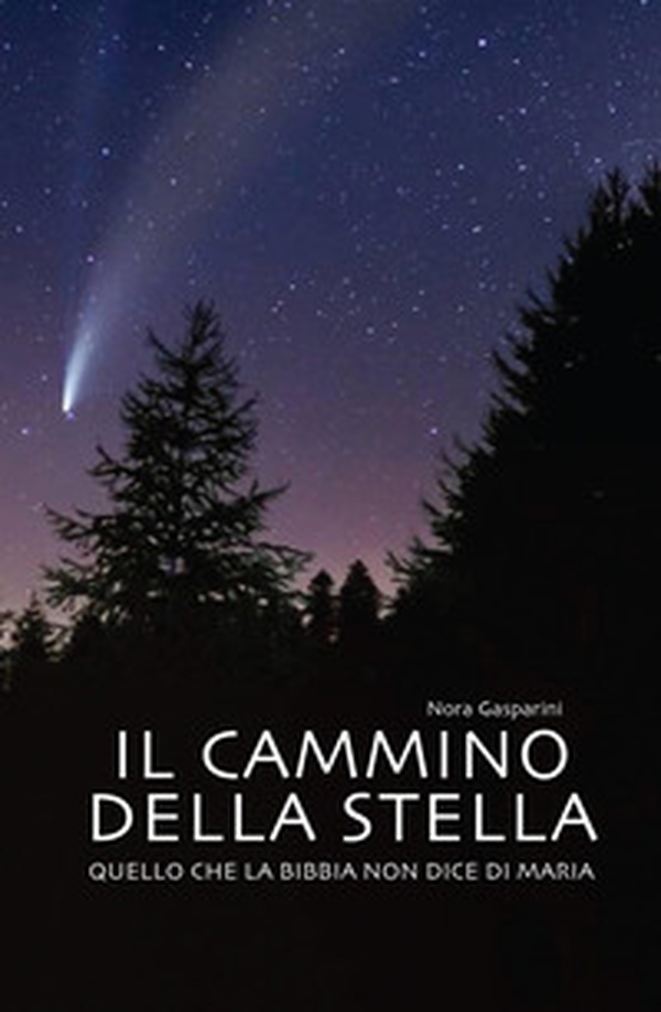 Il cammino della stella. Quello che la Bibbia non dice di Maria - Librerie.coop Il cammino della stella. Quello che la Bibbia non dice di Maria - Librerie.coop