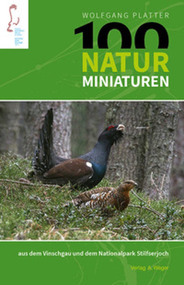 100 naturminiaturen aus dem Vinschgau und dem Nationalpark Silfserjoch - Librerie.coop 100 naturminiaturen aus dem Vinschgau und dem Nationalpark Silfserjoch - Librerie.coop