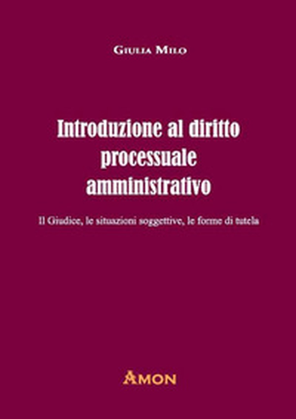 Introduzione al diritto processuale amministrativo. Il giudice, le situazioni soggettive, le forme di tutela - Librerie.coop Introduzione al diritto processuale amministrativo. Il giudice, le situazioni soggettive, le forme di tutela - Librerie.coop