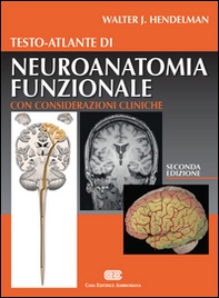 Testo-atlante di neuroanatomia funzionale. Con considerazioni cliniche - Librerie.coop