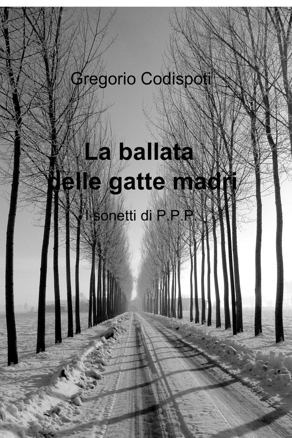 La ballata delle gatte madri - Librerie.coop La ballata delle gatte madri - Librerie.coop